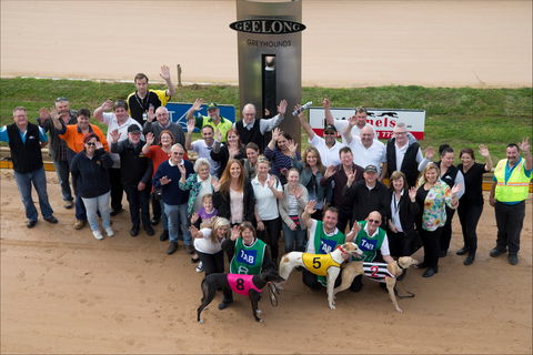 Geelong Greyhound Racing Club - The Beckley Centre - Hervey Bay Accommodation 0