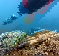Geoffrey Bay Snorkel Trail - Tourism Hervey Bay