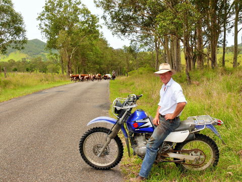 Gloucester Museum - Hervey Bay Accommodation 2