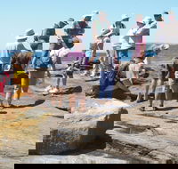 Gondwana Coast Fossil Walk - Tourism Hervey Bay