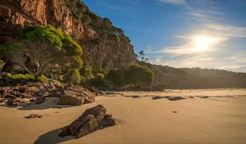 Greenglade Picnic Area - Hervey Bay Accommodation 0