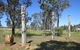 Heritage Sculptures At Pensioners Hill Lookout - thumb 1