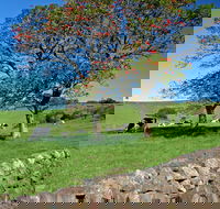 Historic Dry Stone Walls Kiama - Hervey Bay Accommodation