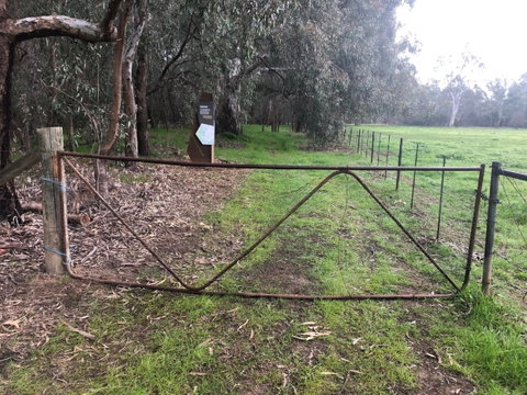 Horseshoe Lagoon Reserve - Hervey Bay Accommodation 1