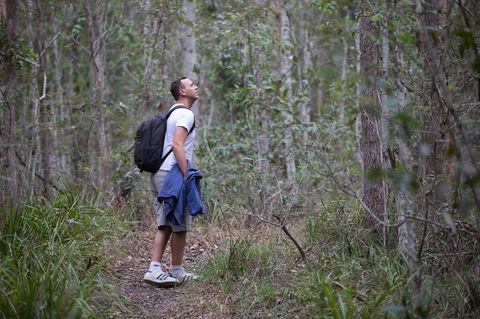 Ironbark Ridge And Spotted Gum Walking Trails - Tourism Hervey Bay 2