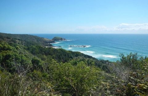 Jack Perkins Walking Track - Hervey Bay Accommodation 0