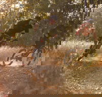Kholo Gardens Trails - Hervey Bay Accommodation