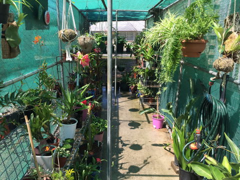 Kilcoy Craft Market - Tourism Hervey Bay 1