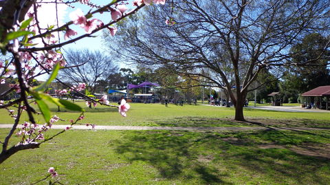 Koshigaya Park - Tourism Hervey Bay 0