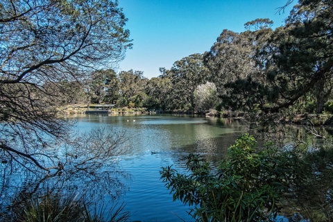 Lake Alexandra Reserve - Hervey Bay Accommodation 1