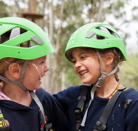 Live Wire Park - Hervey Bay Accommodation