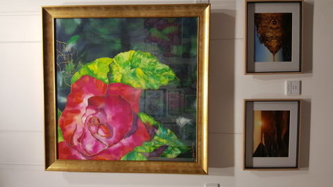 Macleay Valley Community Art Gallery - Hervey Bay Accommodation 0