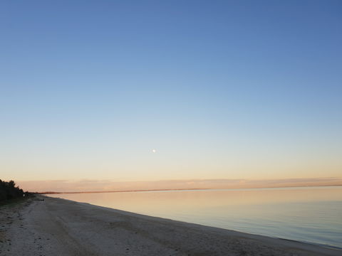 McCrae Beach - Hervey Bay Accommodation 2