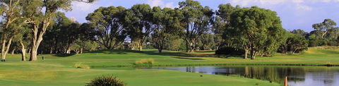 Meadow Springs Golf And Country Club - Tourism Hervey Bay 0