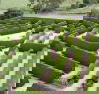 Mintaro Maze - Hervey Bay Accommodation