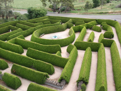 Mintaro Maze - Hervey Bay Accommodation 0