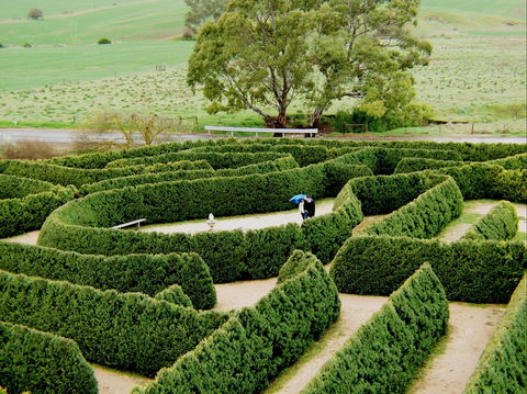 Mintaro Maze - Hervey Bay Accommodation 1
