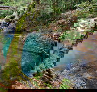 Mobong walking track - Hervey Bay Accommodation