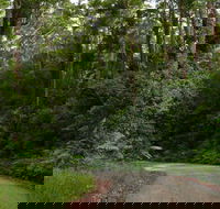 Moonpar Forest drive - Cascade National Park - Hervey Bay Accommodation