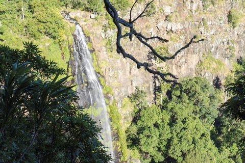 Morans Falls Track, Lamington National Park - Hervey Bay Accommodation 0