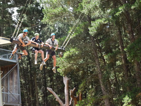Mount Lofty Adventure Hub - Tourism Hervey Bay 1