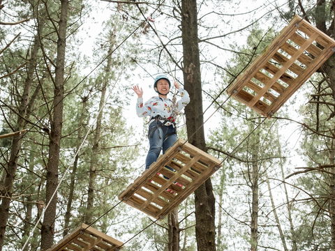 Mount Lofty Adventure Hub - Tourism Hervey Bay 2