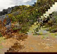 Mountain Biking Trails - Hervey Bay Accommodation