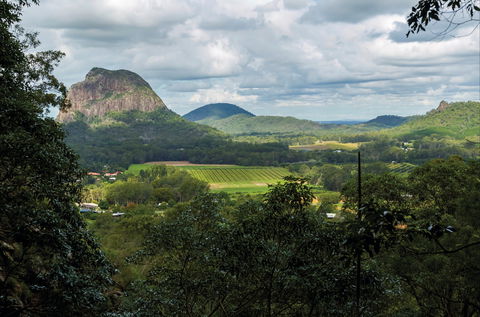 Mount Ngungun Summit Walking Track, Glass House Mountains National Park - Hervey Bay Accommodation 1
