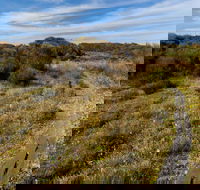 Murramarang Aboriginal Area Walking Track - Tourism Hervey Bay