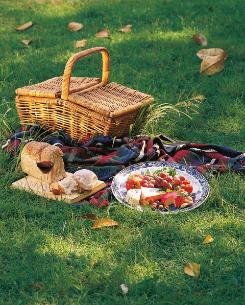 Nature And Foodies Trail - Hervey Bay Accommodation 2