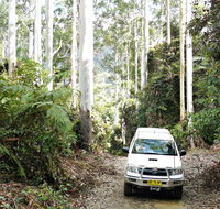 Orara Escarpment 4WD Touring Route - Hervey Bay Accommodation