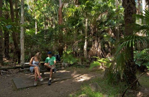 Palms Picnic Area - Hervey Bay Accommodation 0