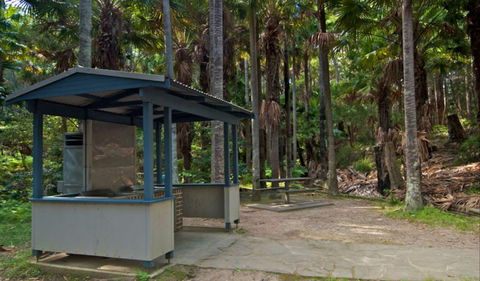 Palms Picnic Area - Hervey Bay Accommodation 1
