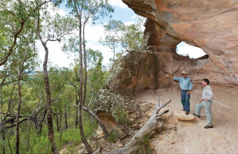 Pilliga National Park - Hervey Bay Accommodation 0