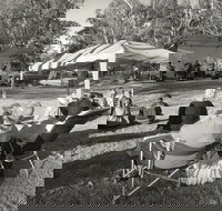 Pioneer Park