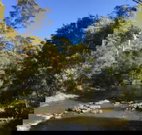 Pipers River Board Walk - Hervey Bay Accommodation