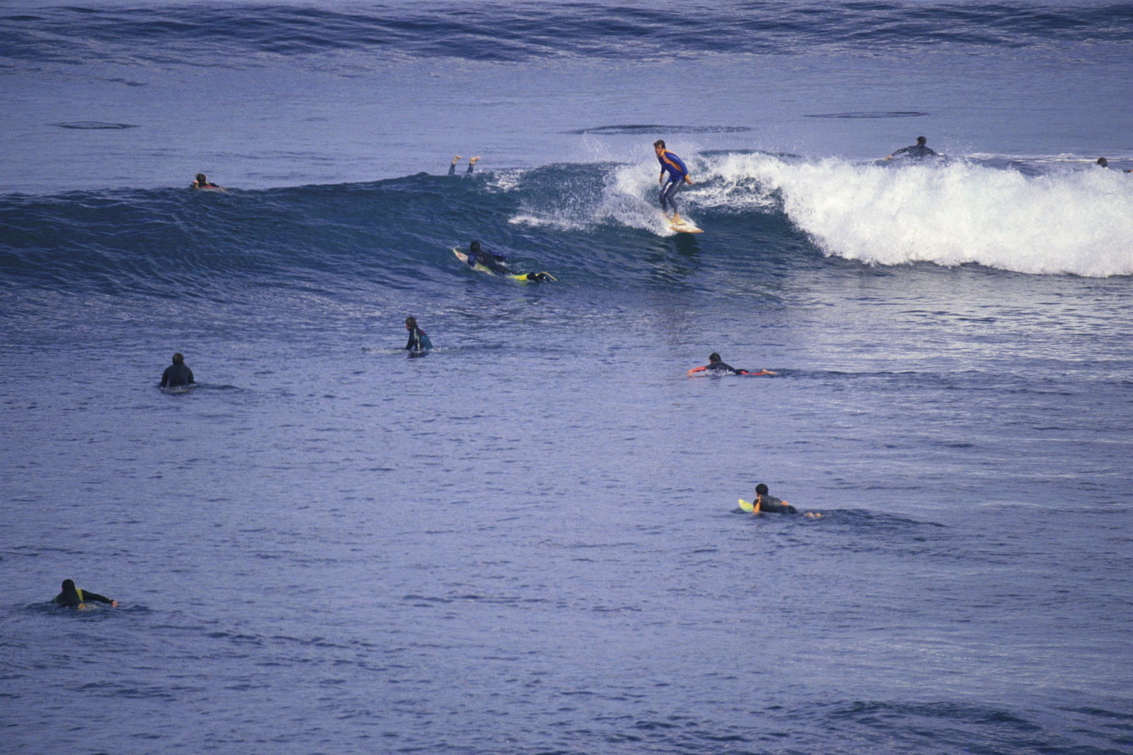 Bells Beach VIC Hervey Bay Accommodation