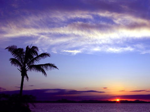 Quoin Island Retreat And Turtle Rehabilitation Centre - Hervey Bay Accommodation 0