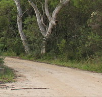 Riverview walking track - Hervey Bay Accommodation