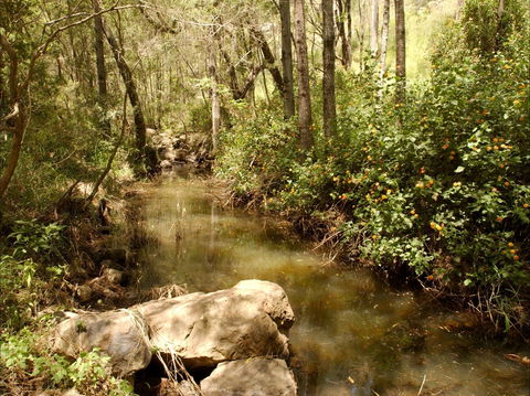 Sandy Creek Track - Hervey Bay Accommodation 0
