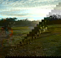 Scenic NSW Horse Riding Centre