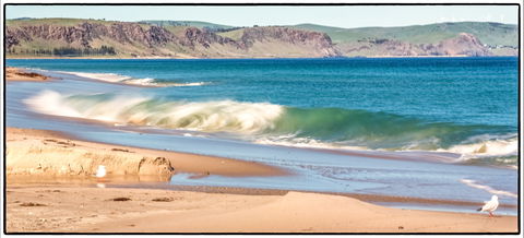 Starfish Hill Windfarm - Hervey Bay Accommodation 0