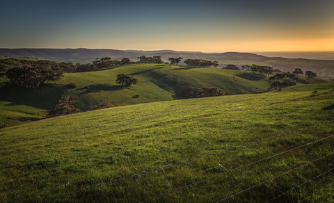 Starfish Hill Windfarm - Hervey Bay Accommodation 1