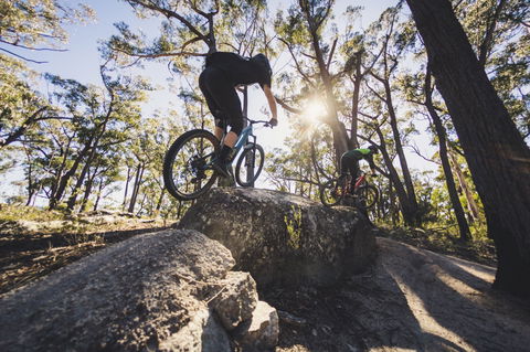 St Helens Mountain Bike Trails - Hervey Bay Accommodation 1