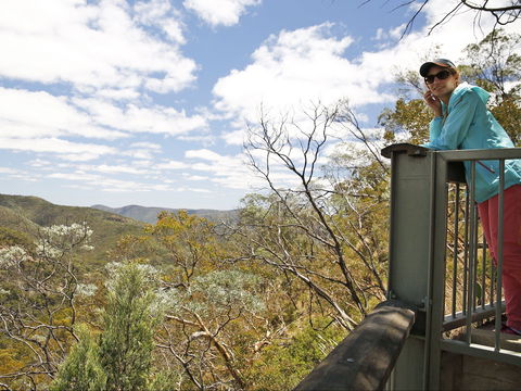 Sundown National Park - Hervey Bay Accommodation 1