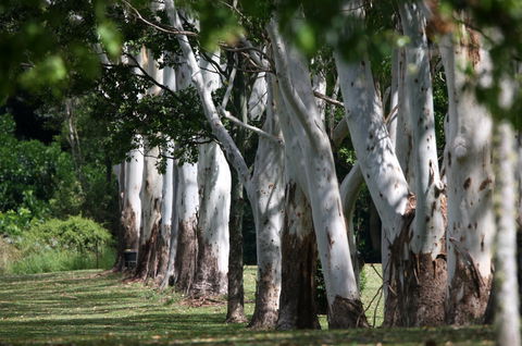 Teven Valley Golf Course - Hervey Bay Accommodation 1