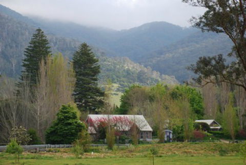 Tilba Tilba - Hervey Bay Accommodation 0