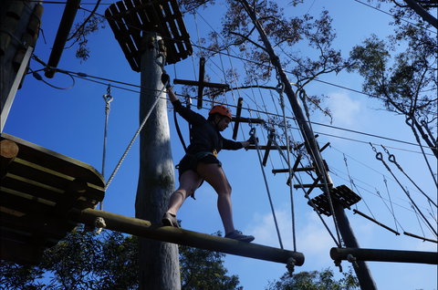 Trees Adventure Nowra Park - Hervey Bay Accommodation 0