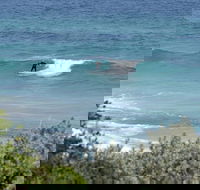 Trigg Island Beach - Hervey Bay Accommodation
