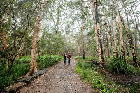 Venman Bushland National Park - Hervey Bay Accommodation 0